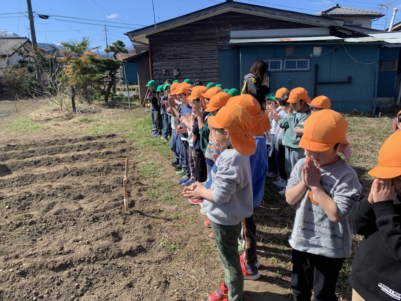 じゃがいもの種植えふす