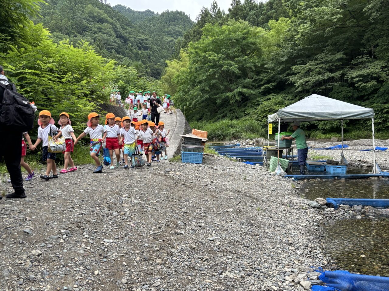 川遊び(年長)